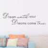 Dream until your dreams come true väggdekor