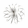 Toroflux magisk cirkel