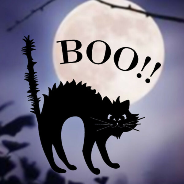 Häxan katt boo Halloween väggdekor klistermärken