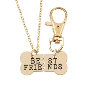 Best Friends halsband till dig och din hund eller katt